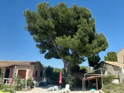 Démontage périlleux