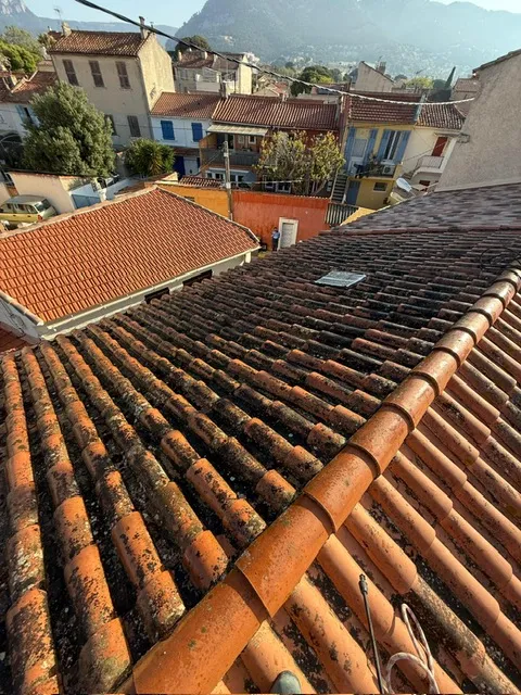 Réalisation d'un nettoyage / traitement hydrofuge complet de toiture